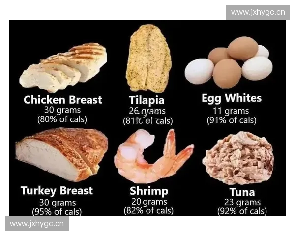 运动营养科学指导与日常膳食优化策略全面解析